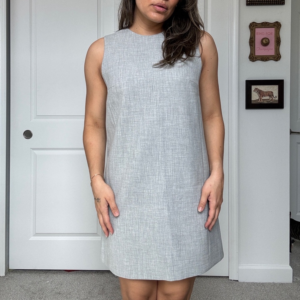 Babaton Light Gray Mini Dress